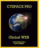 CYSPACE Pro Global Web GOLD Award