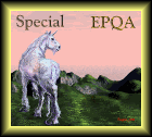 EPQA Special Award